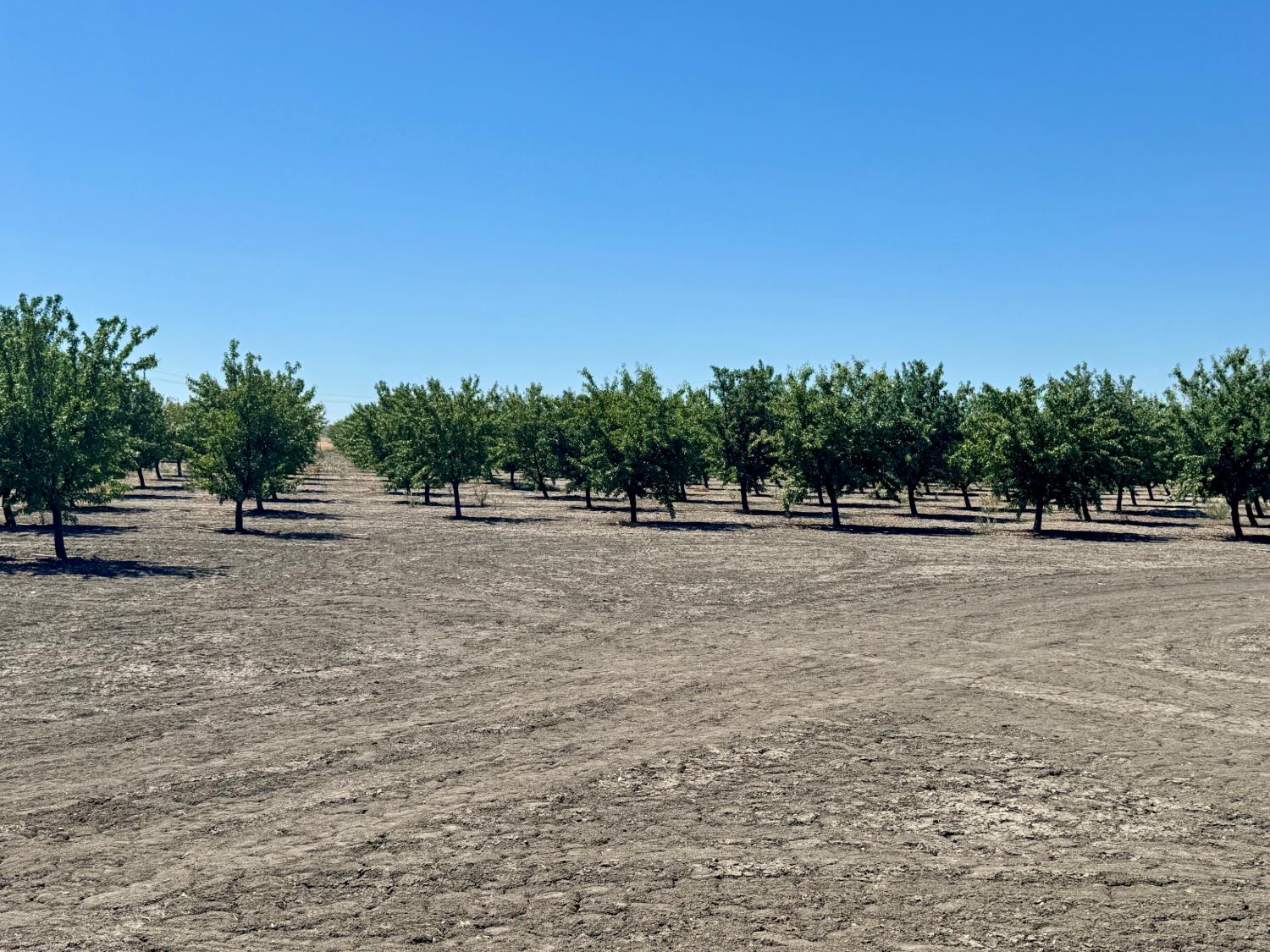 1 Placer Ave, San Joaquin, CA 93660