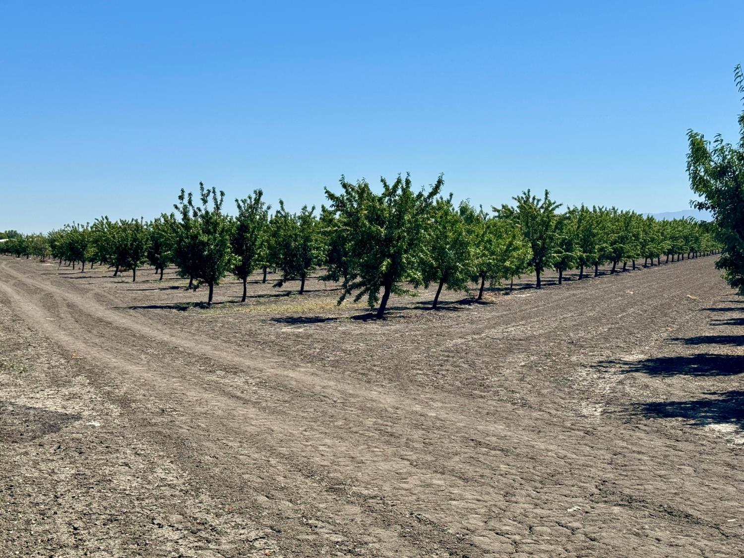 1 Placer Ave, San Joaquin, CA 93660