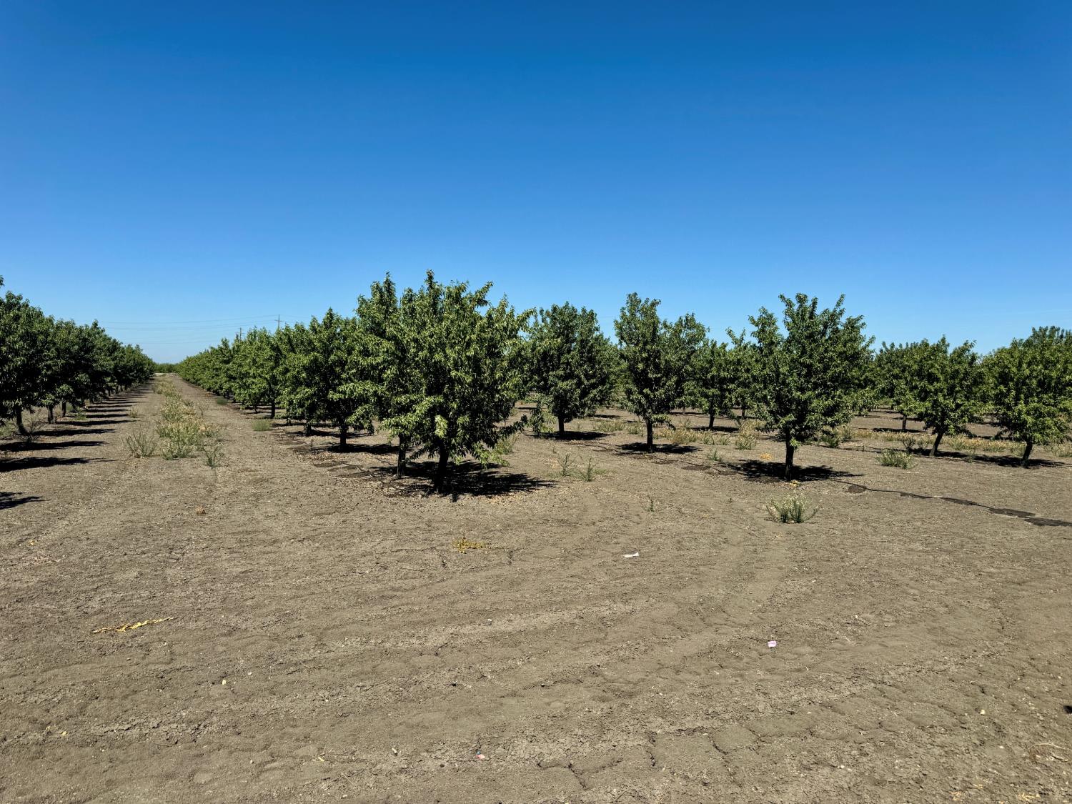 1 Placer Ave, San Joaquin, CA 93660