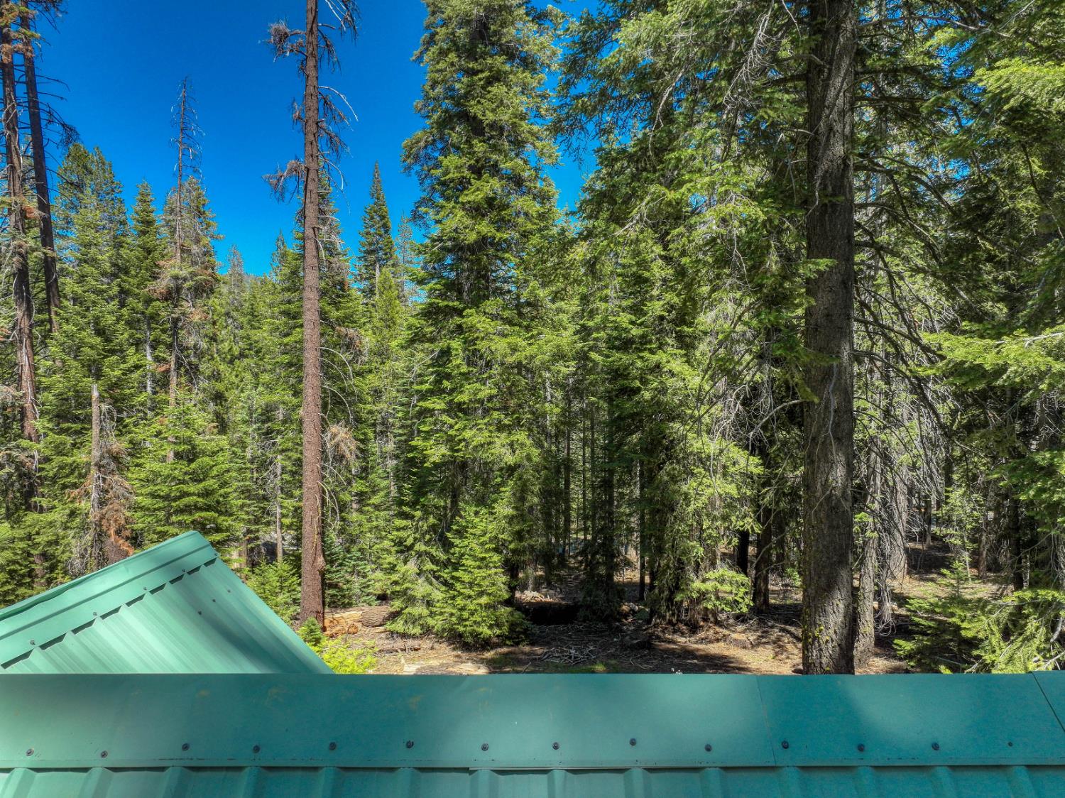 61504 Huntington Lake Rd #6, Lakeshore, CA 93634
