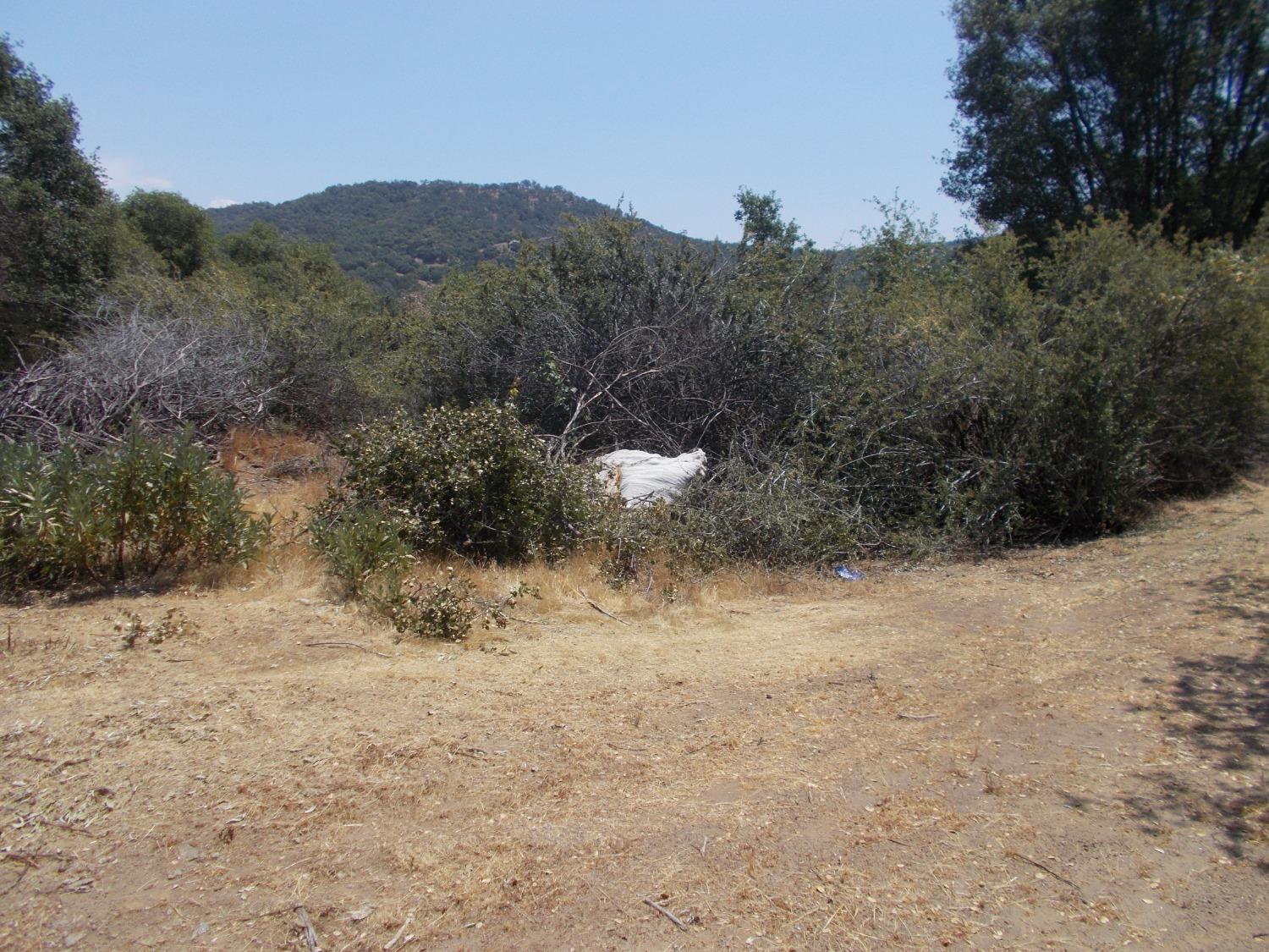533 Lot Mound Ln, Yokuts Valley, CA 93675