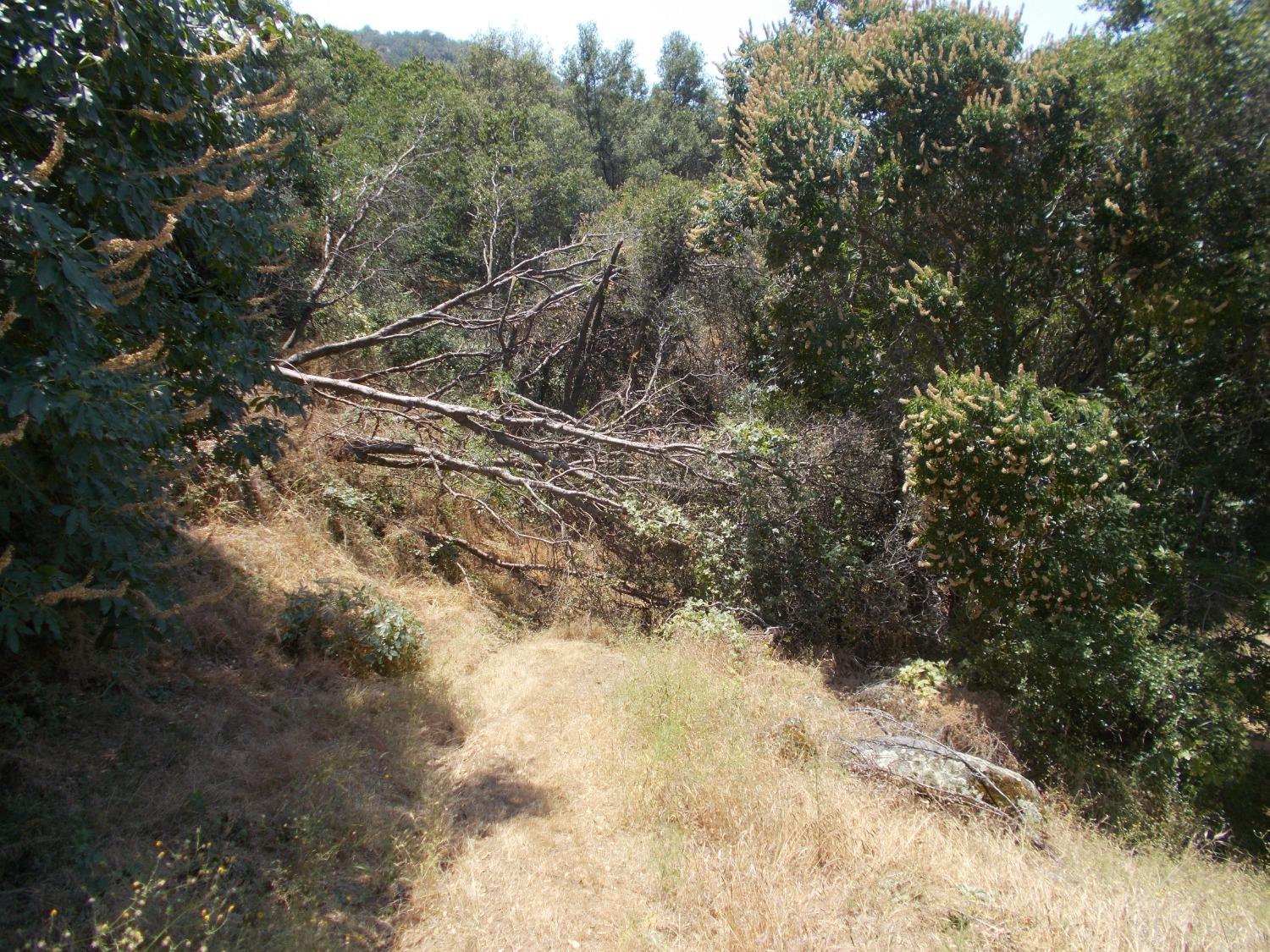 533 Lot Mound Ln, Yokuts Valley, CA 93675