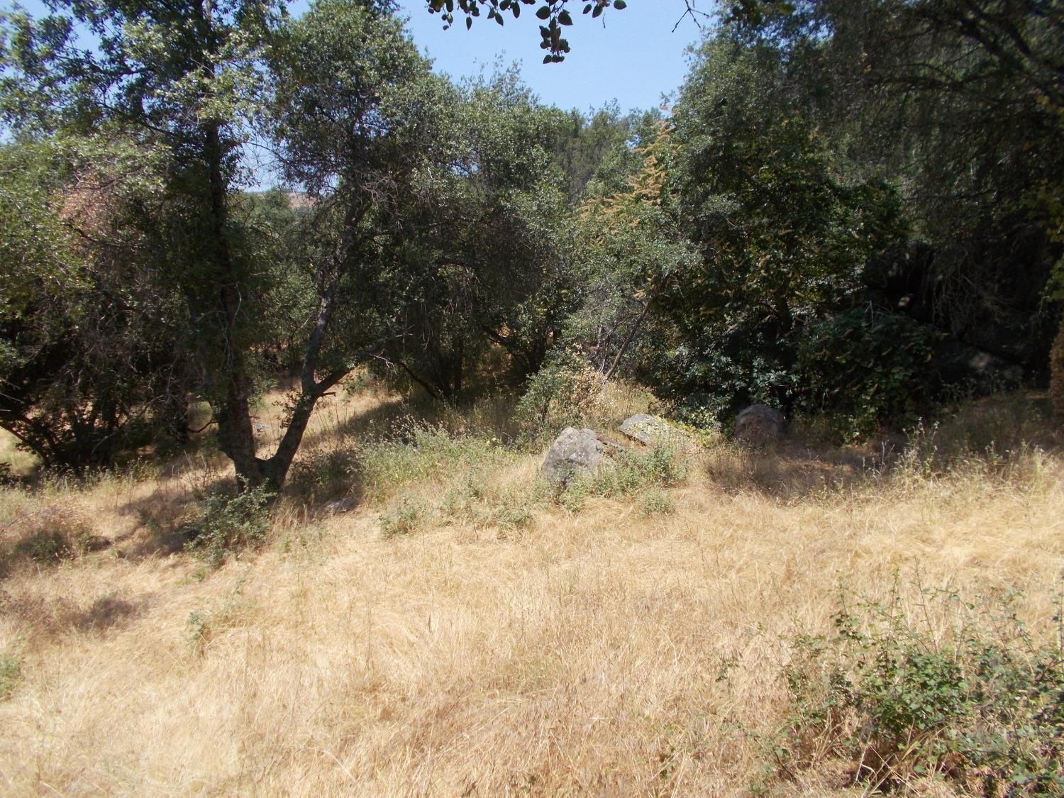 533 Lot Mound Ln, Yokuts Valley, CA 93675