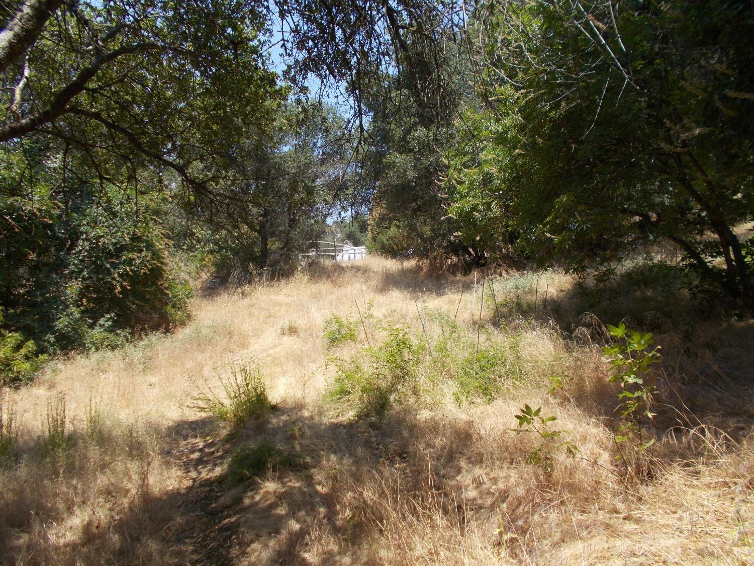 533 Lot Mound Ln, Yokuts Valley, CA 93675
