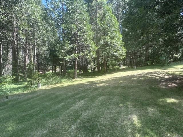 39112 Littlefield Road, Shaver Lake, CA 93664
