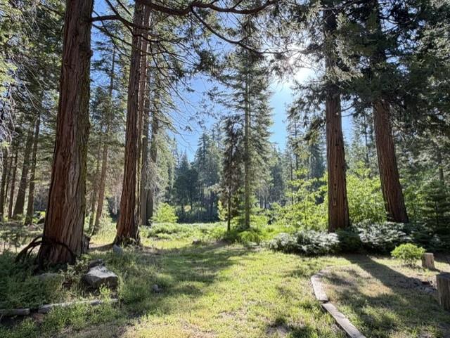 39112 Littlefield Road, Shaver Lake, CA 93664