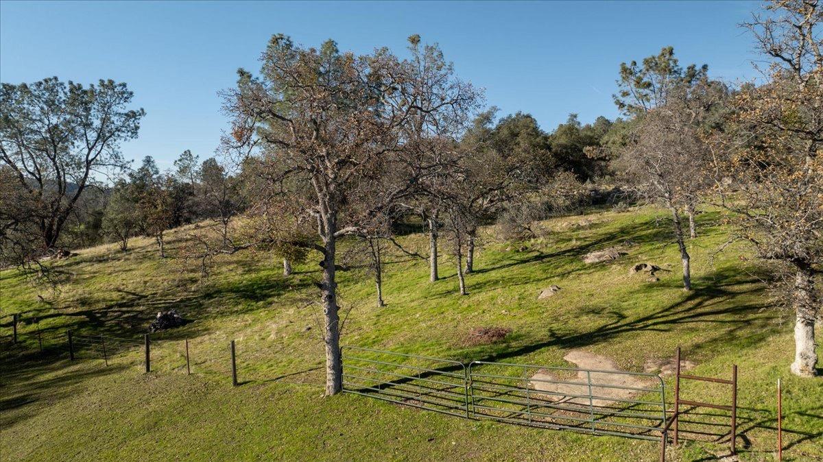 29296 Grapevine, Coarsegold, CA 93614