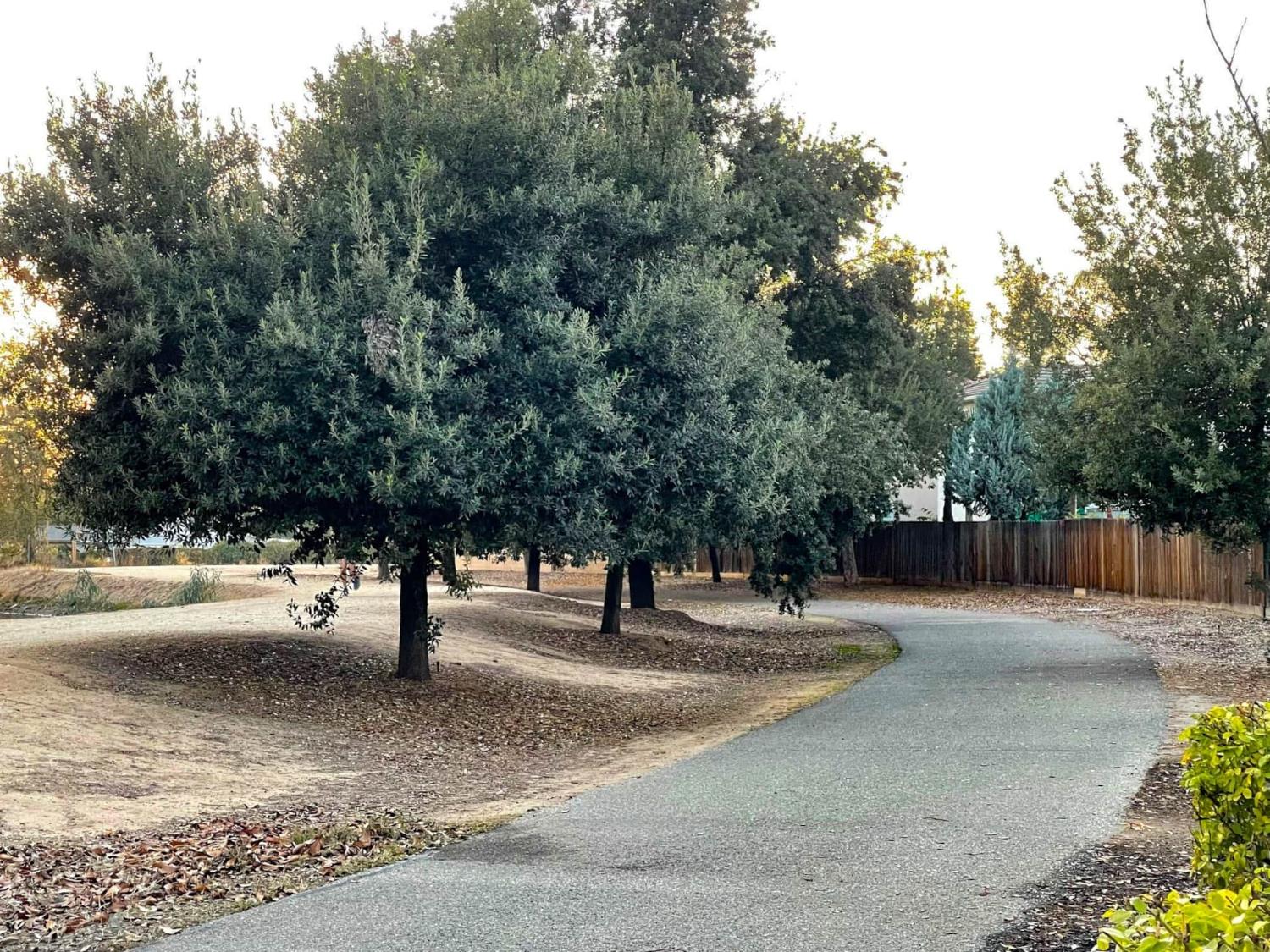 2264 Vermont Ave, Clovis, CA 93619