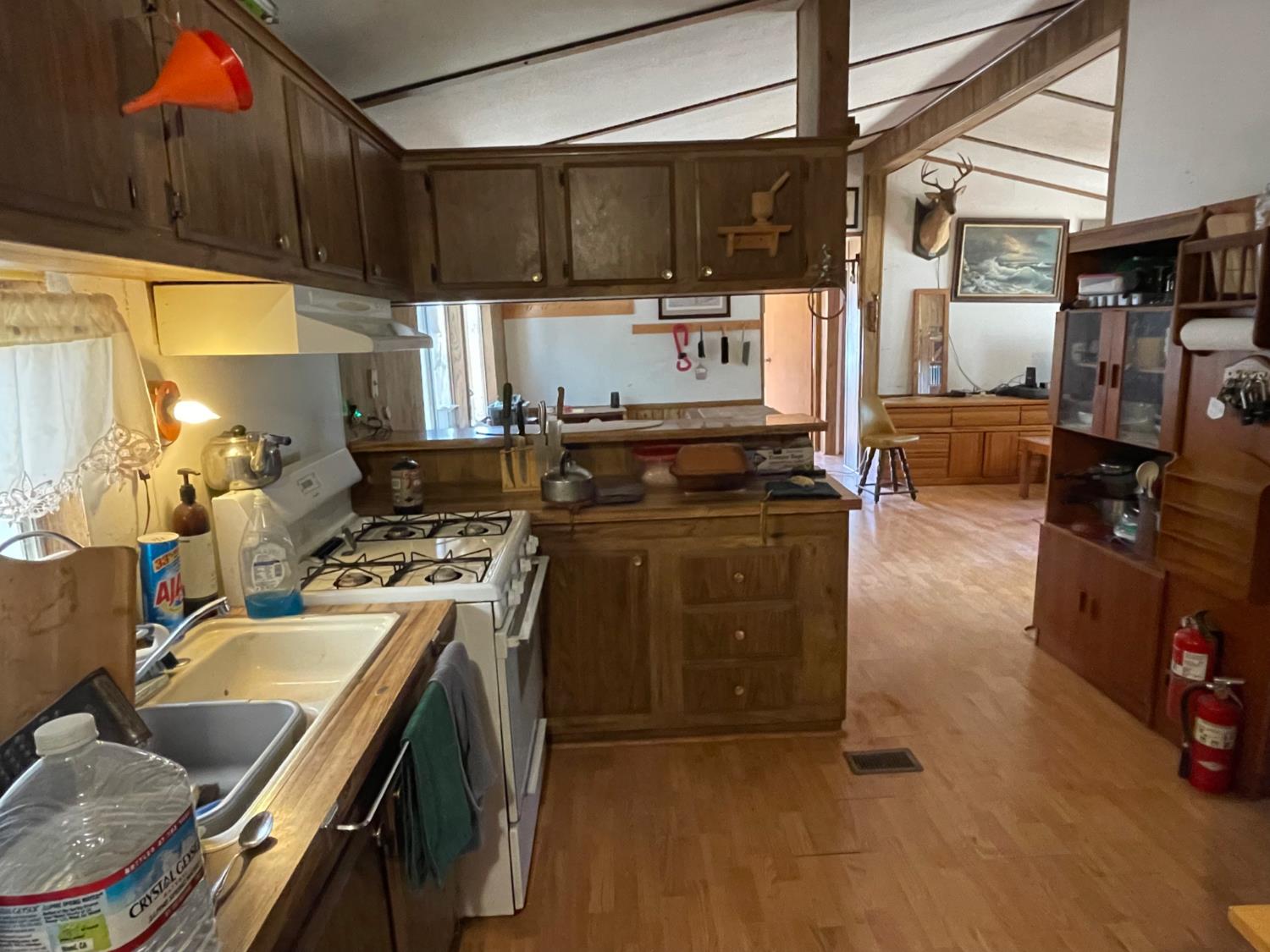 3877 Lopa Rd, Mariposa, CA 95338