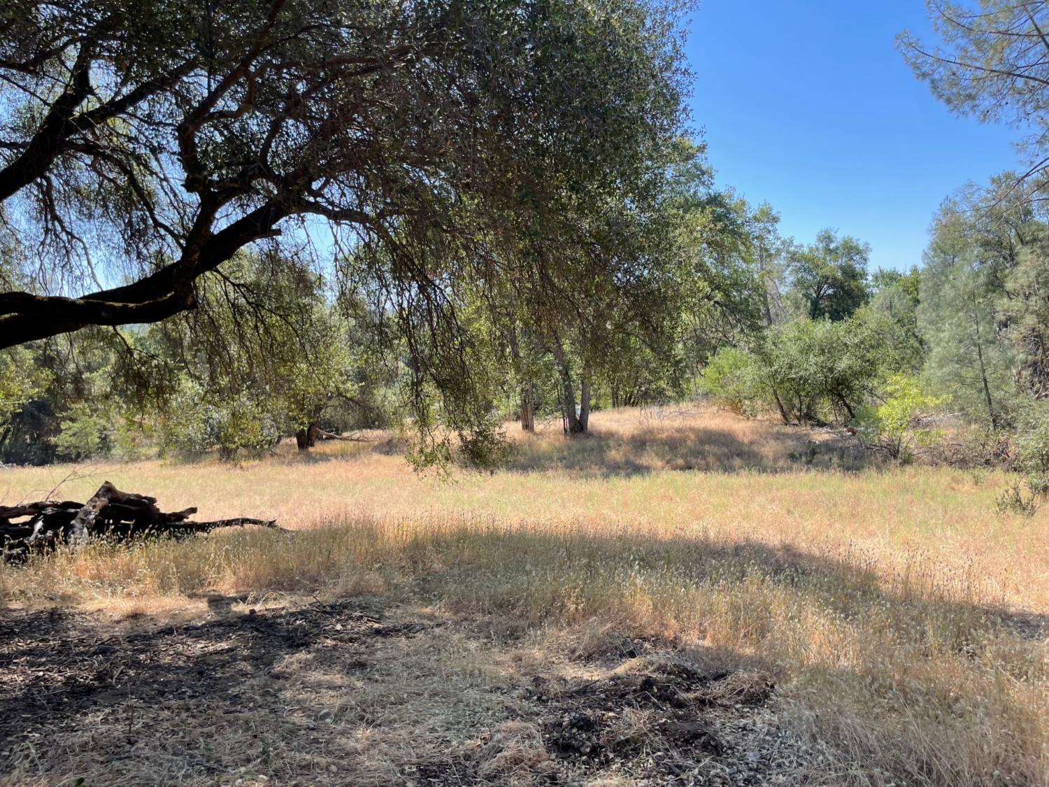 3877 Lopa Rd, Mariposa, CA 95338