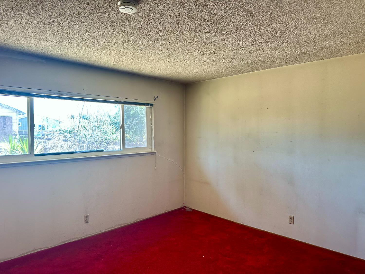 2153 Knowles St, Selma, CA 93662