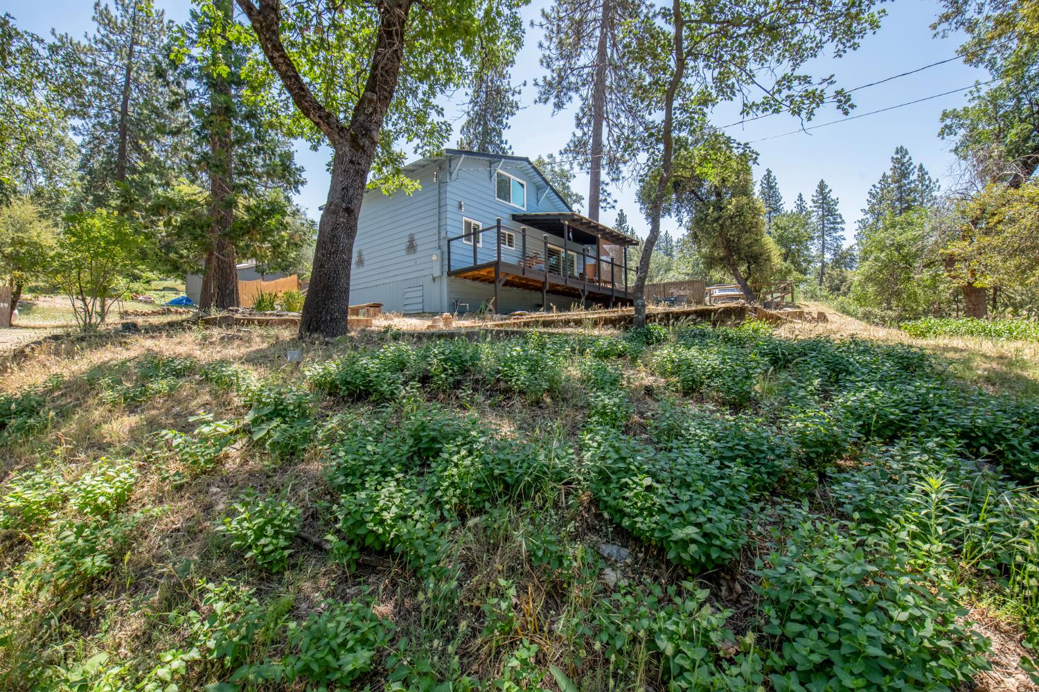 43191 W Sugar Pine Dr, Oakhurst, CA 93644