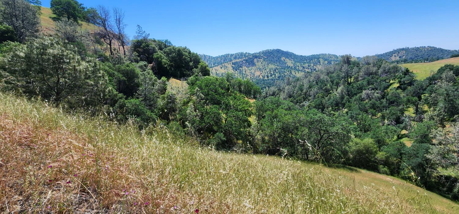 1 Lazy L Summit Ln, Coarsegold, CA 93614