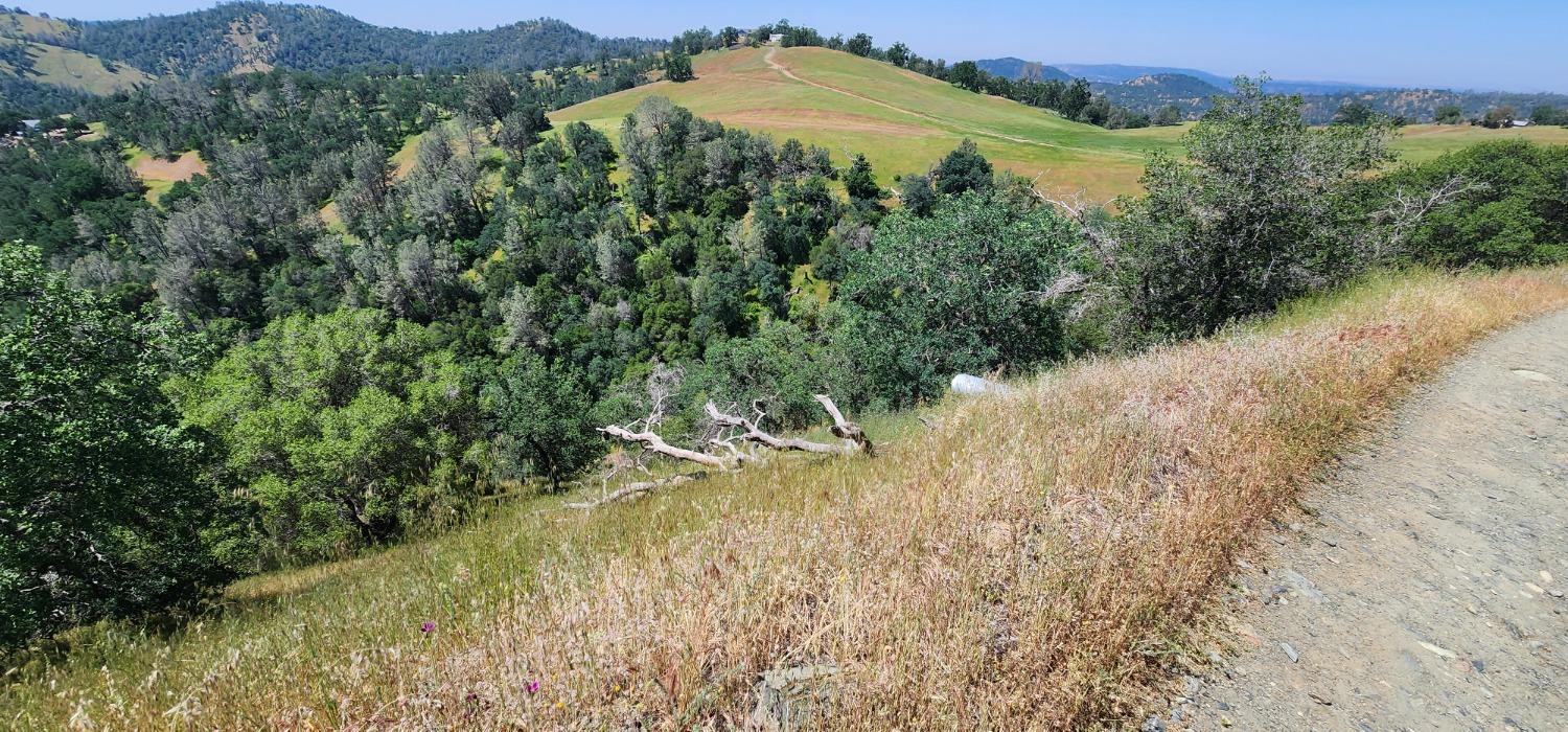 1 Lazy L Summit Ln, Coarsegold, CA 93614