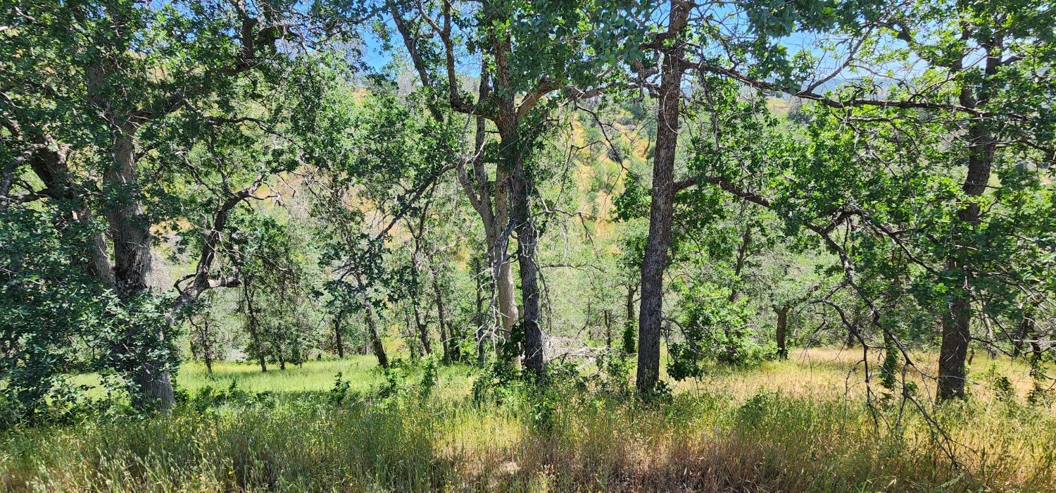1 Lazy L Summit Ln, Coarsegold, CA 93614