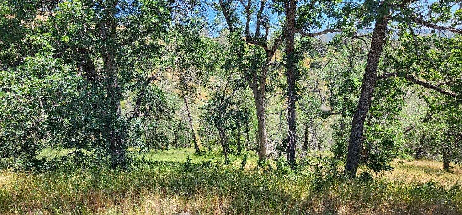 1 Lazy L Summit Ln, Coarsegold, CA 93614