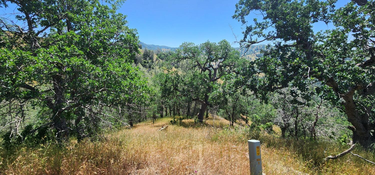 1 Lazy L Summit Ln, Coarsegold, CA 93614