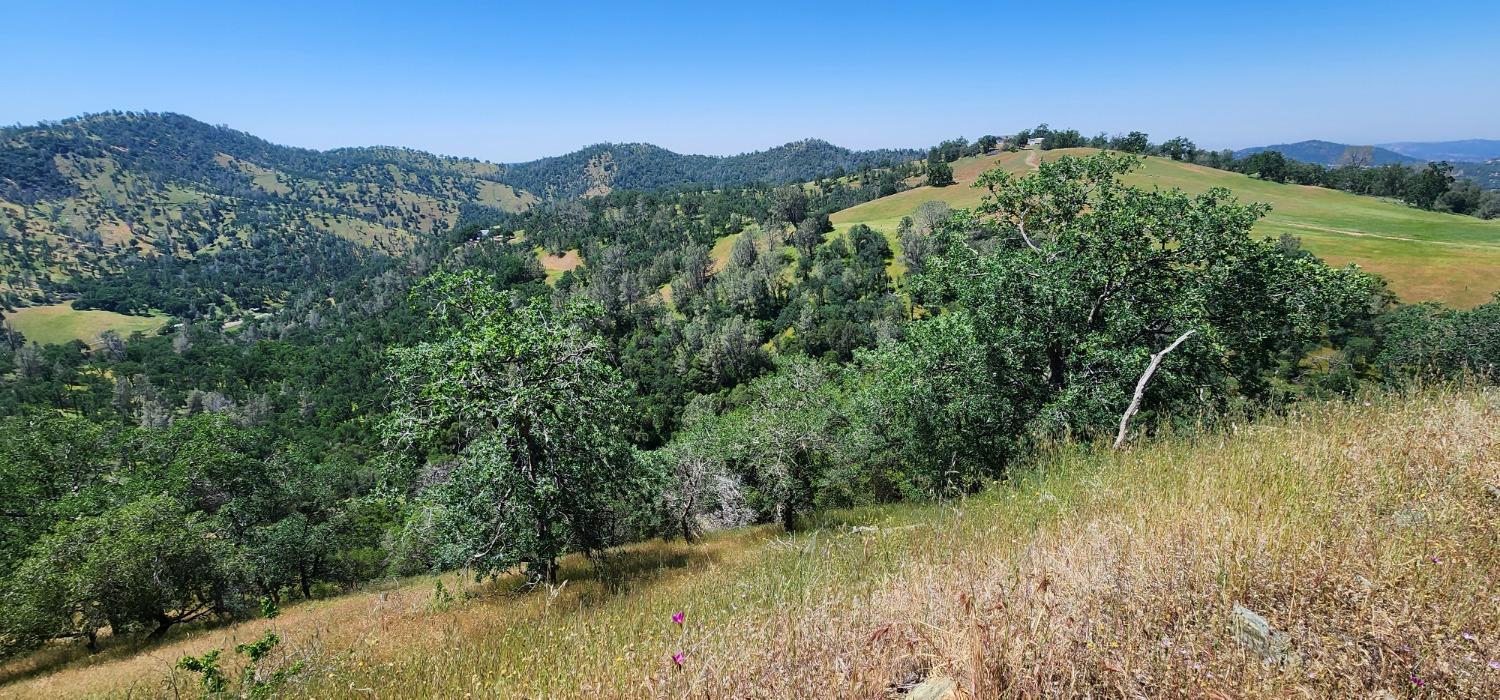 1 Lazy L Summit Ln, Coarsegold, CA 93614