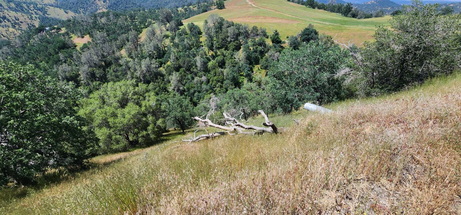 1 Lazy L Summit Ln, Coarsegold, CA 93614