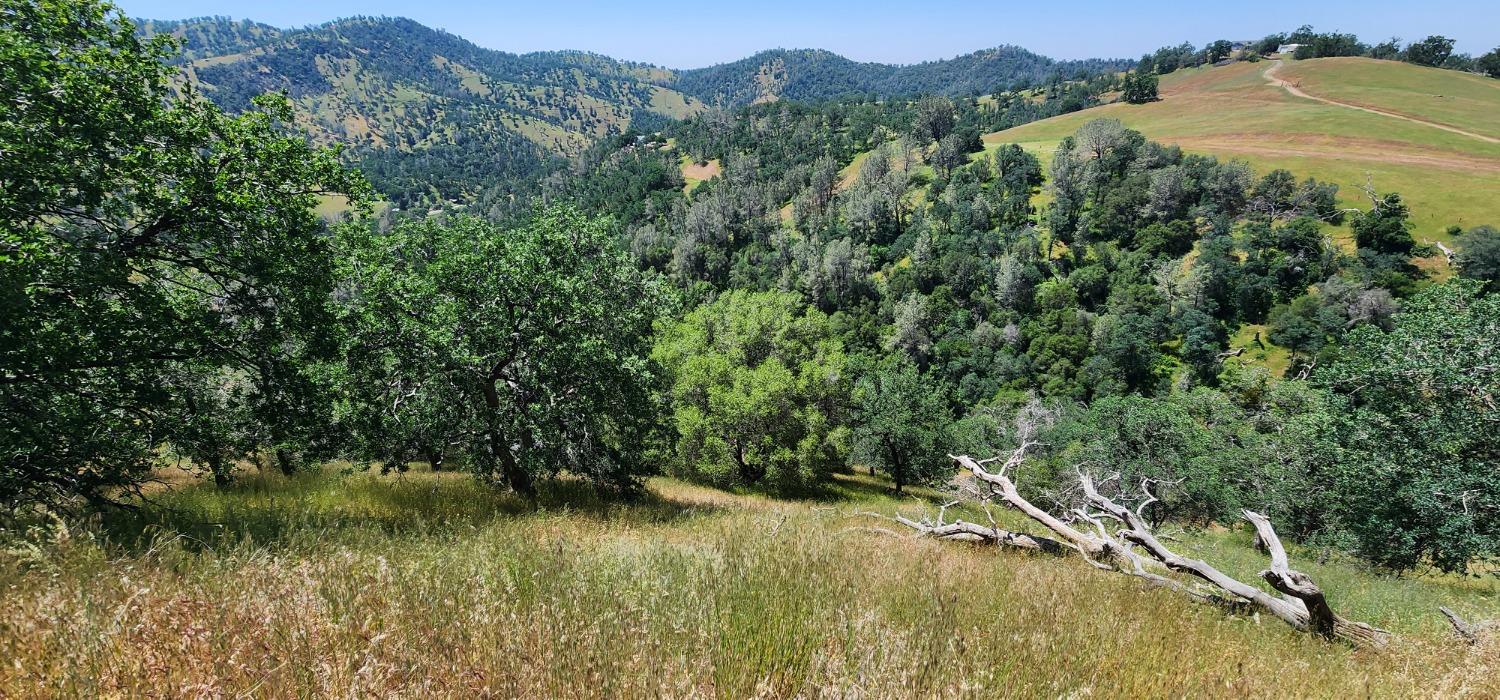 1 Lazy L Summit Ln, Coarsegold, CA 93614