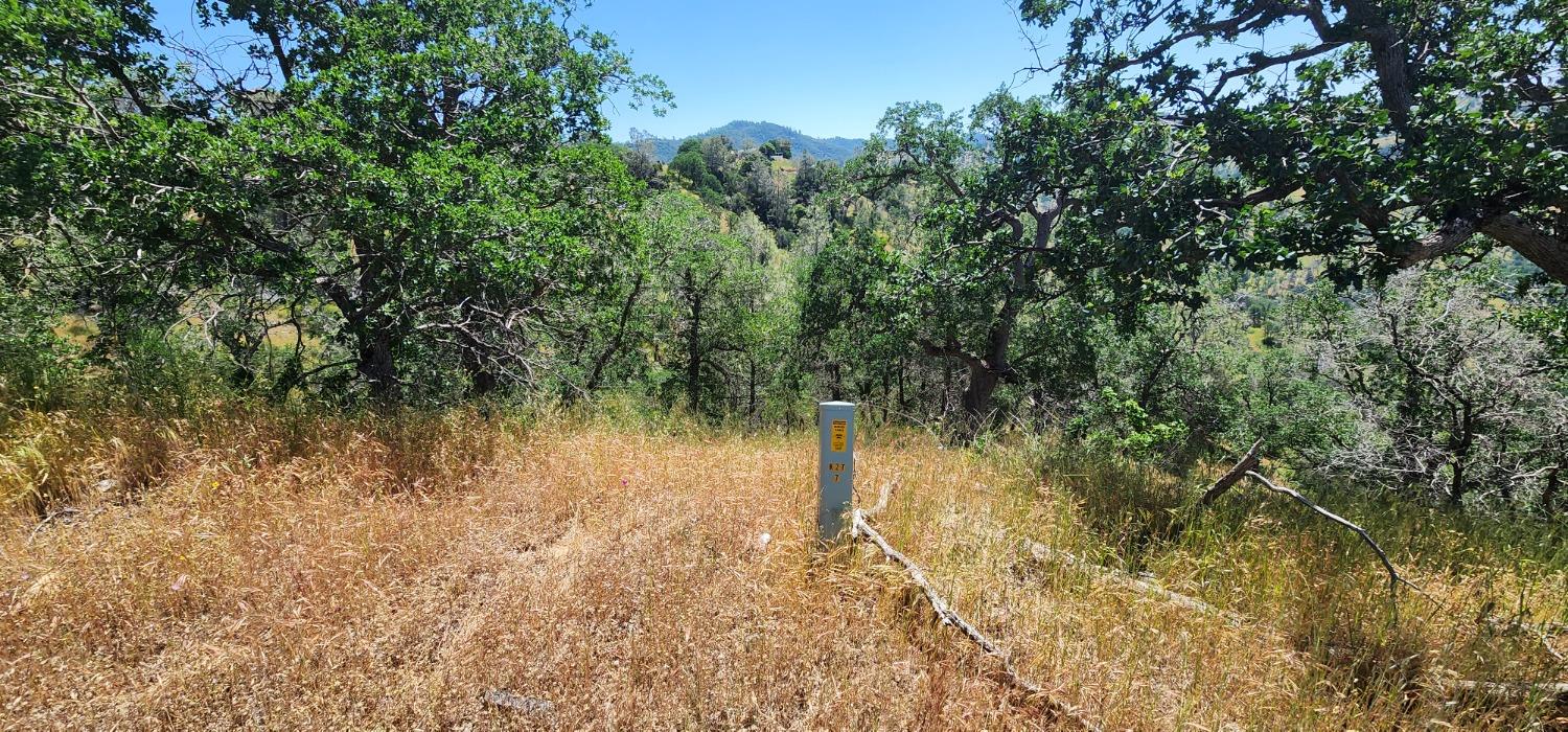 1 Lazy L Summit Ln, Coarsegold, CA 93614