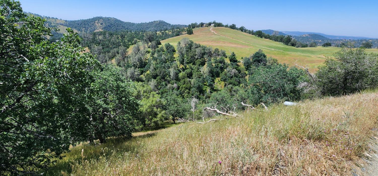 1 Lazy L Summit Ln, Coarsegold, CA 93614