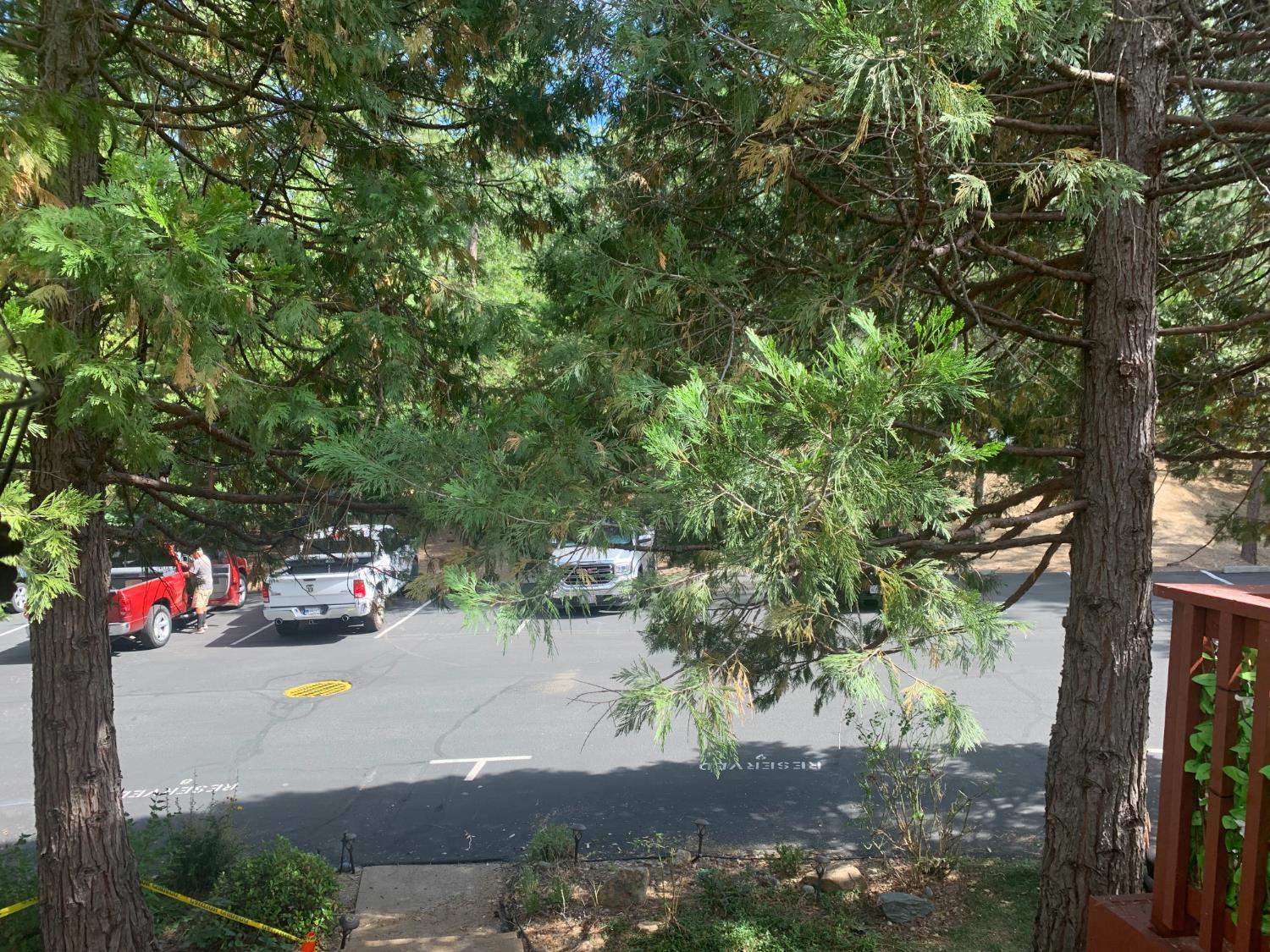 40513 Saddleback Rd, Bass Lake, CA 93604