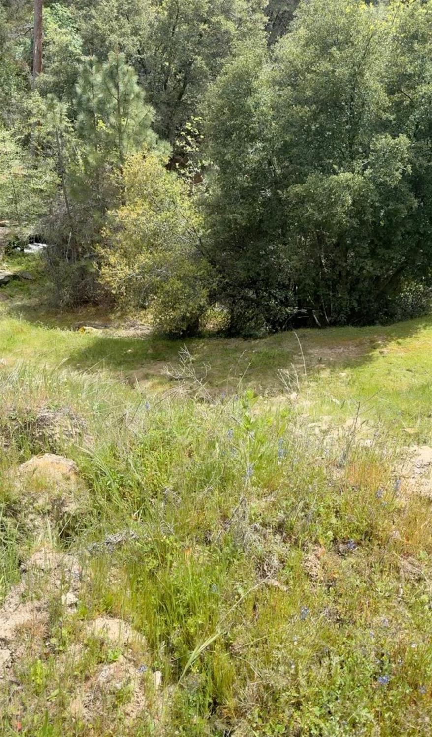 43929 Badger Hollow Trl, Oakhurst, CA 93644