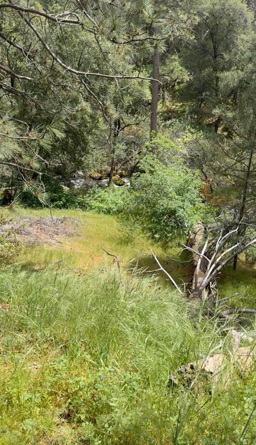 43929 Badger Hollow Trl, Oakhurst, CA 93644