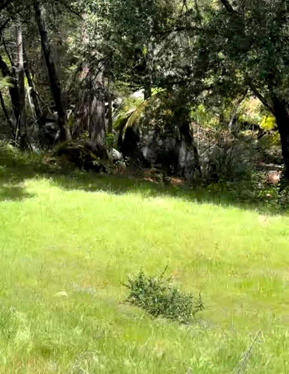 43929 Badger Hollow Trl, Oakhurst, CA 93644