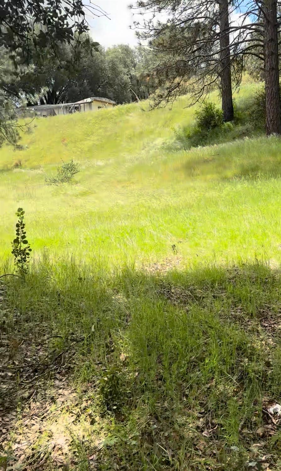 43929 Badger Hollow Trl, Oakhurst, CA 93644