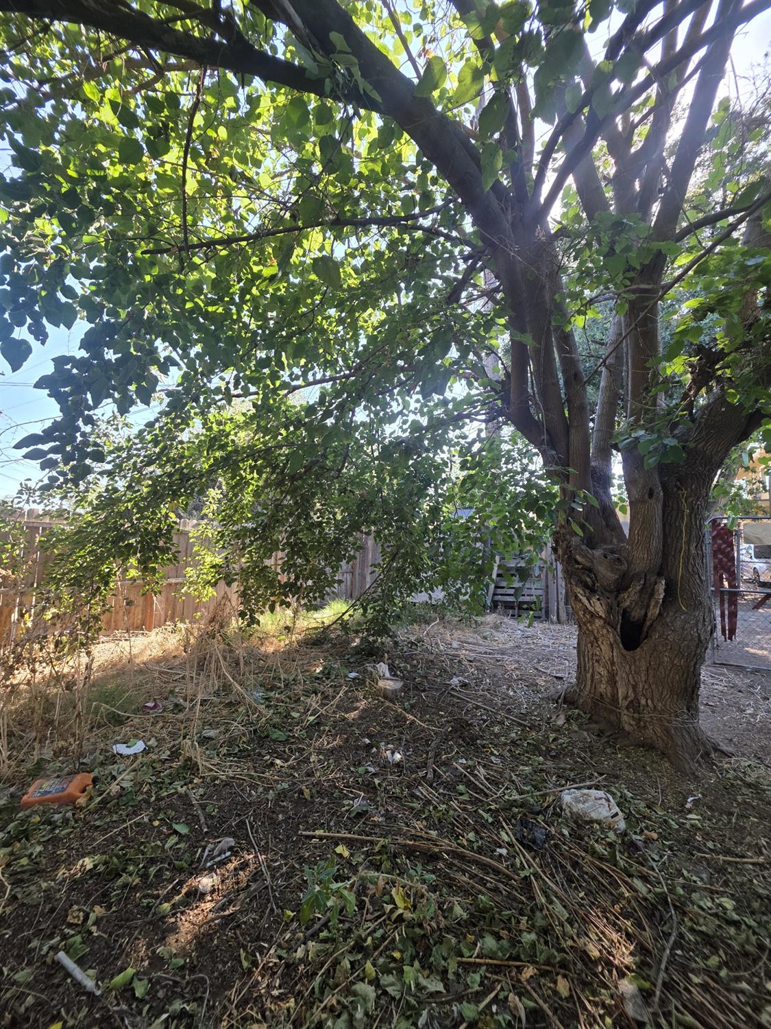 419 N San Pablo Ave, Fresno, CA 93701