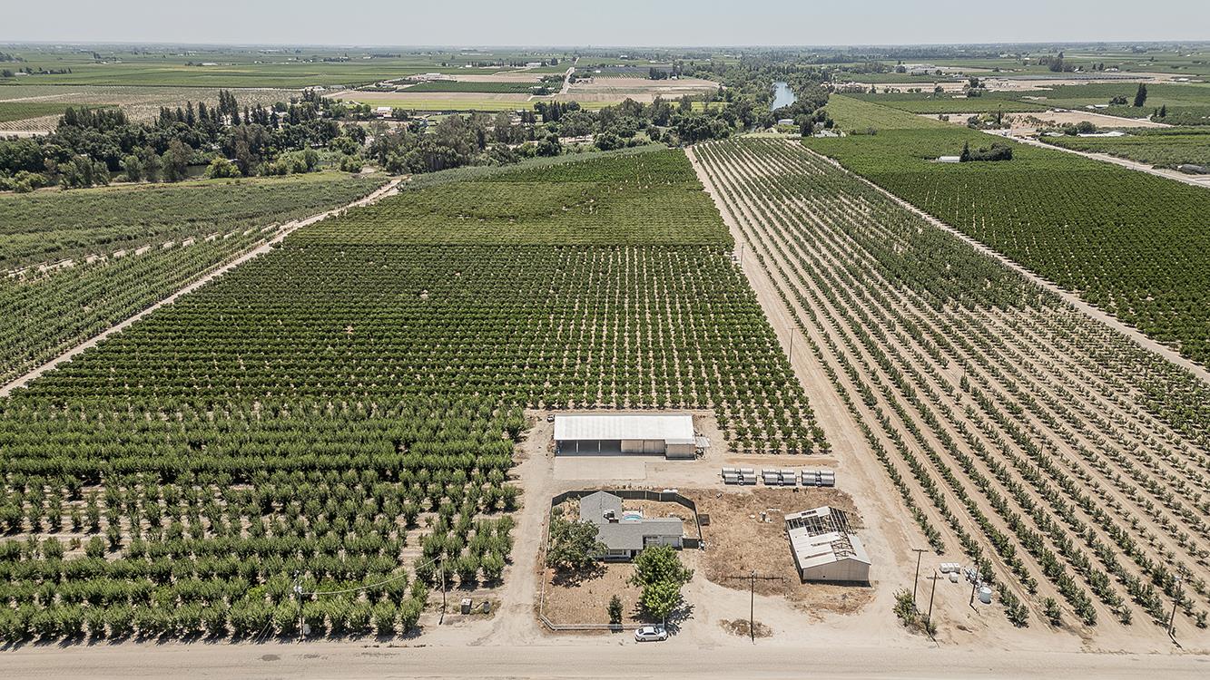 17209 E Floral Ave, Reedley, CA 93654