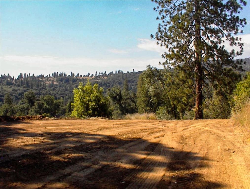53333 Hwy 245, Pinehurst, CA 93641