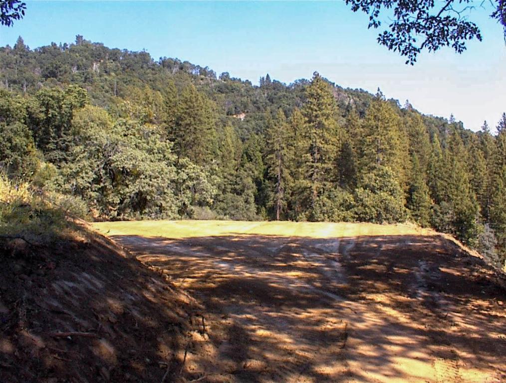 53333 Hwy 245, Pinehurst, CA 93641