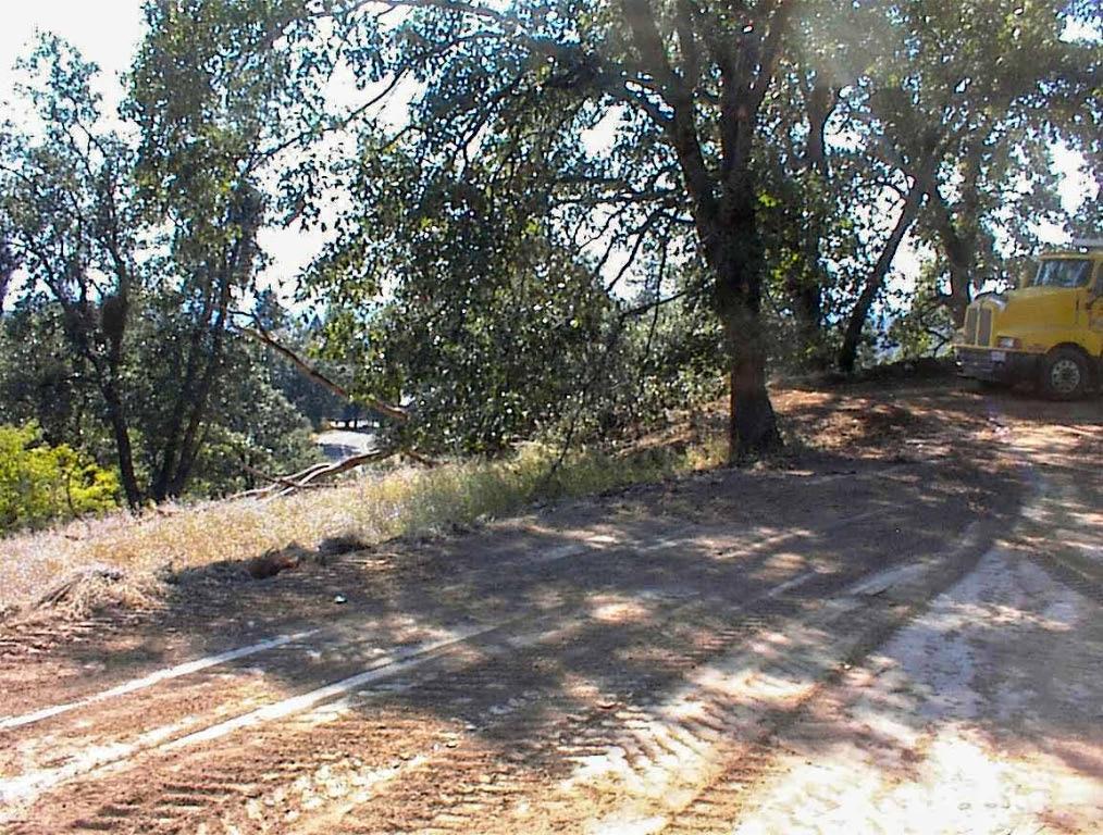 53333 Hwy 245, Pinehurst, CA 93641