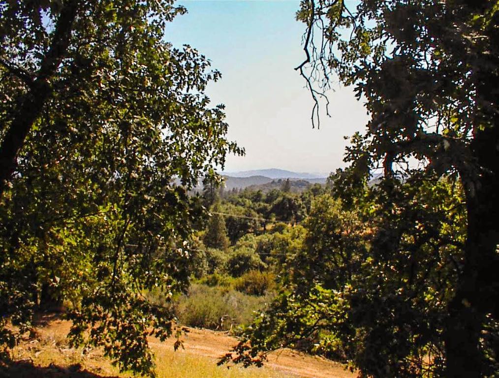 53333 Hwy 245, Pinehurst, CA 93641
