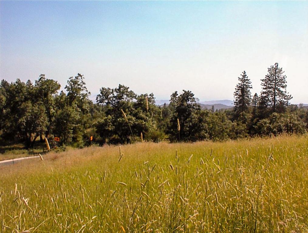 53333 Hwy 245, Pinehurst, CA 93641