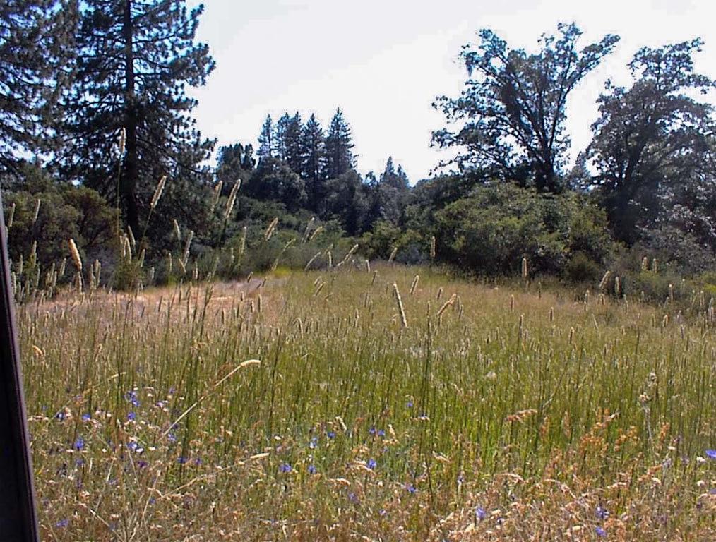 53333 Hwy 245, Pinehurst, CA 93641