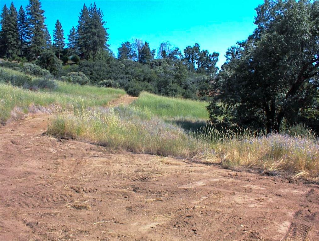 53333 Hwy 245, Pinehurst, CA 93641