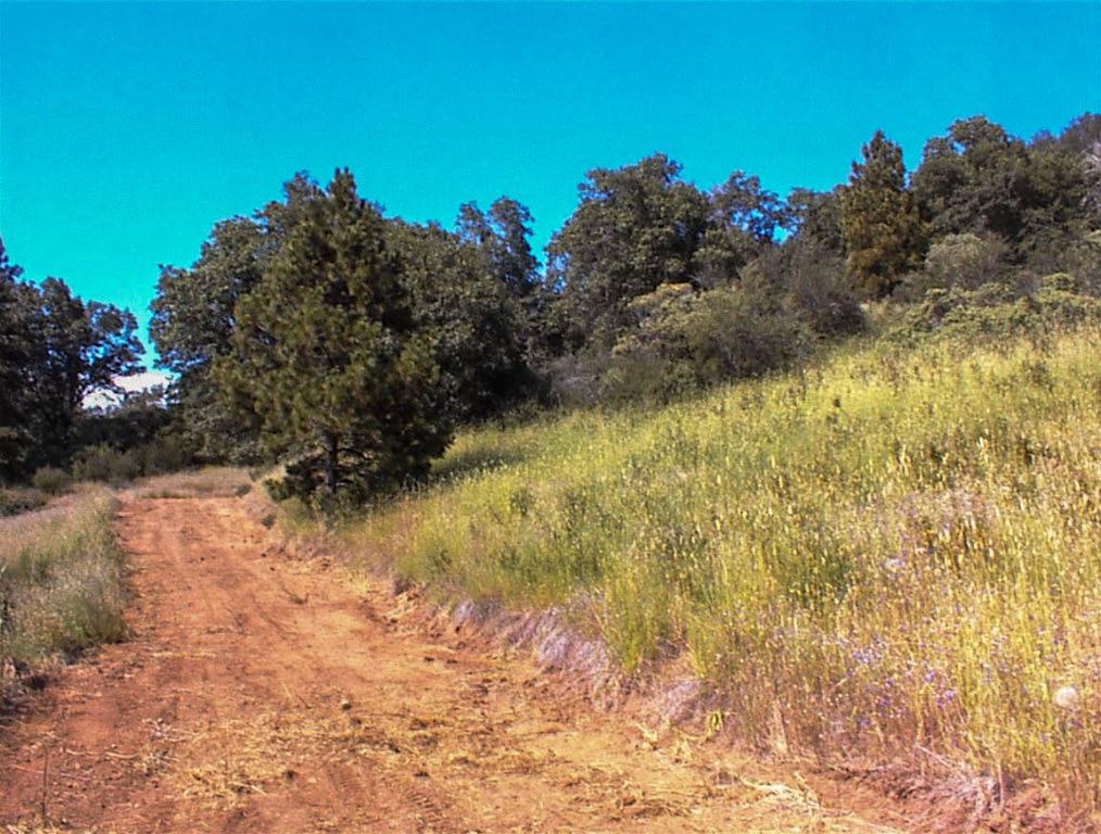 53333 Hwy 245, Pinehurst, CA 93641