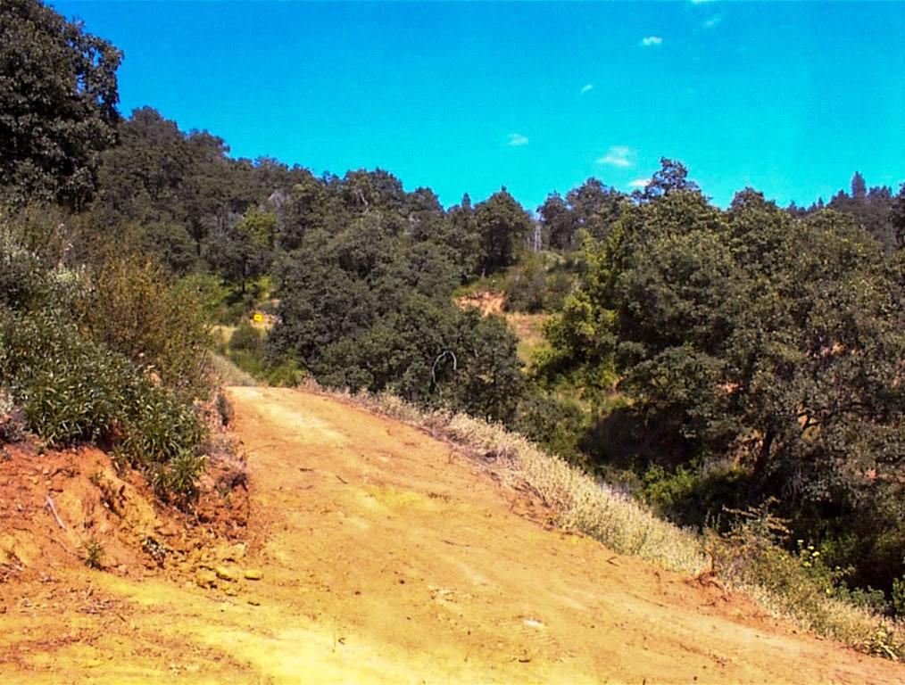 53333 Hwy 245, Pinehurst, CA 93641