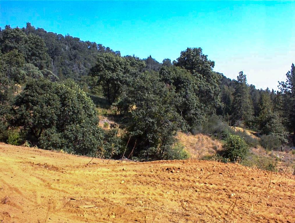 53333 Hwy 245, Pinehurst, CA 93641