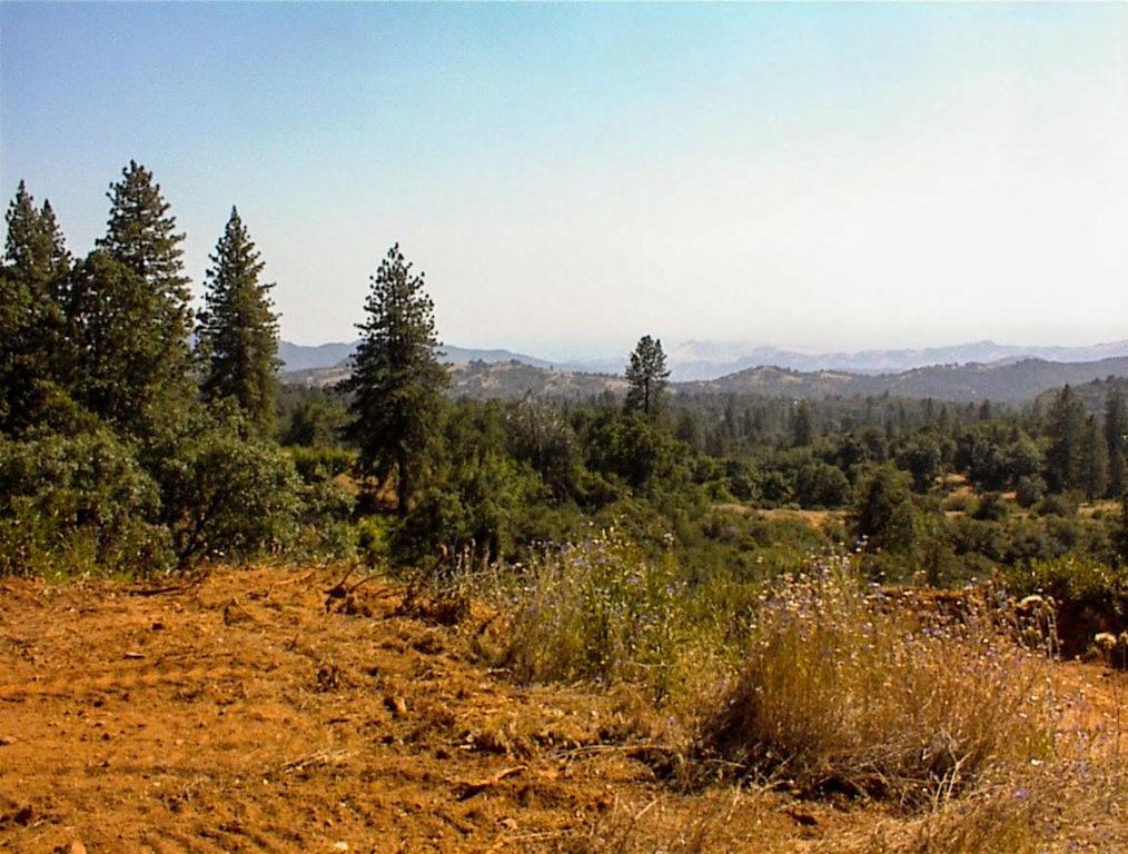53333 Hwy 245, Pinehurst, CA 93641
