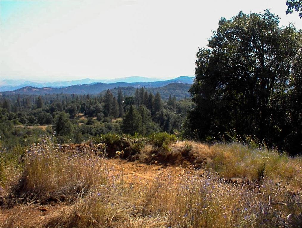 53333 Hwy 245, Pinehurst, CA 93641