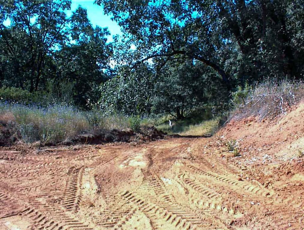 53333 Hwy 245, Pinehurst, CA 93641