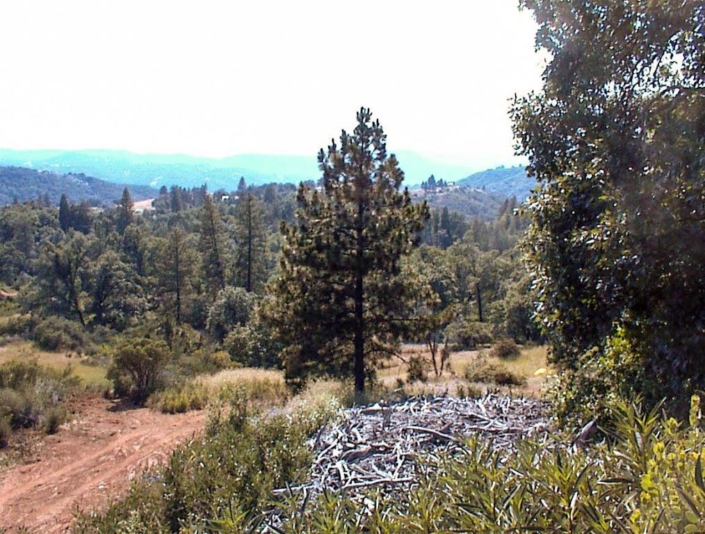 53333 Hwy 245, Pinehurst, CA 93641