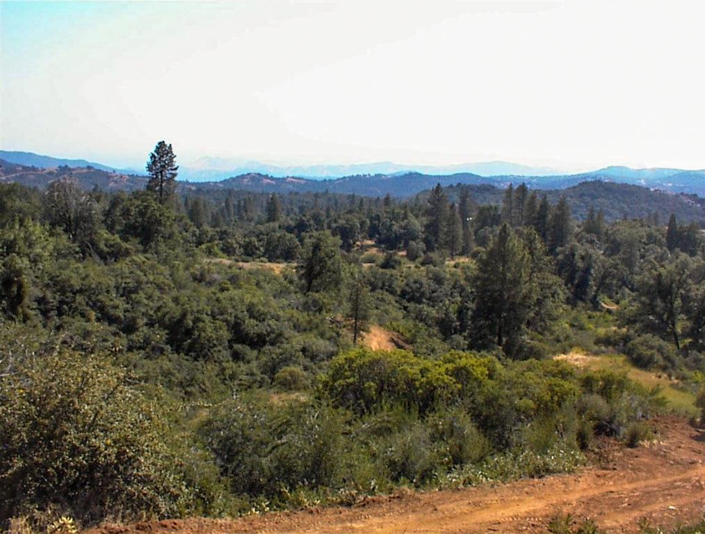 53333 Hwy 245, Pinehurst, CA 93641