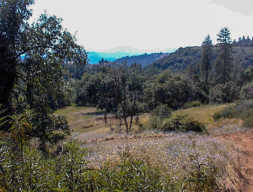 53333 Hwy 245, Pinehurst, CA 93641