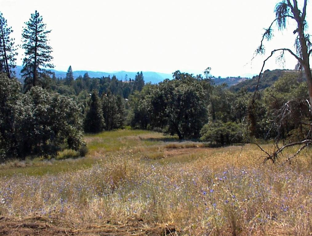 53333 Hwy 245, Pinehurst, CA 93641